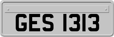 GES1313