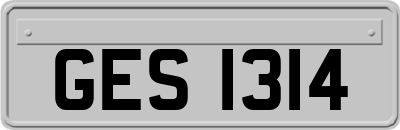 GES1314