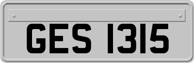 GES1315