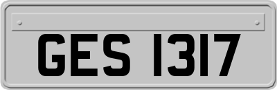 GES1317