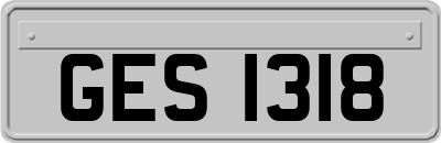 GES1318