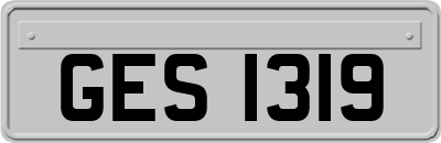GES1319