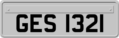 GES1321