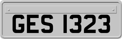 GES1323