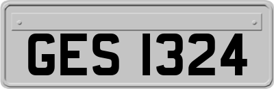 GES1324