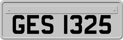 GES1325