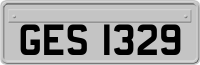 GES1329