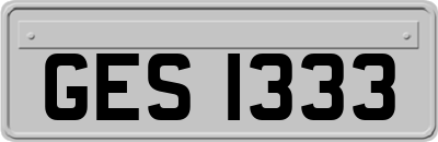 GES1333