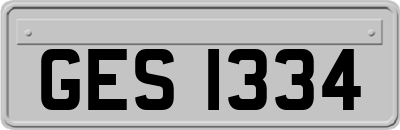 GES1334