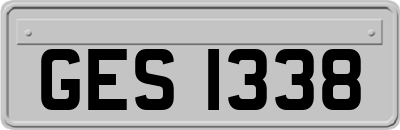 GES1338