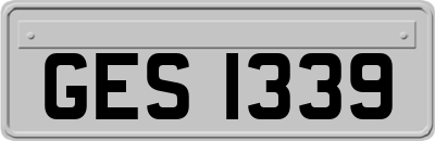 GES1339