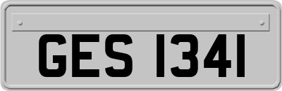 GES1341