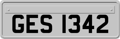 GES1342