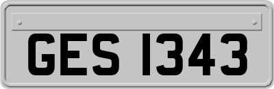 GES1343