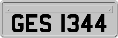 GES1344