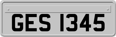 GES1345