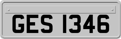 GES1346