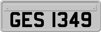 GES1349