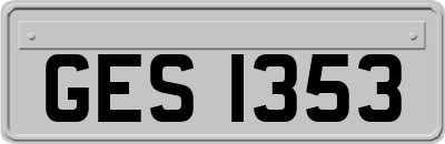 GES1353