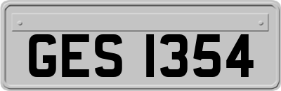 GES1354