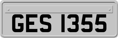GES1355