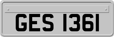 GES1361