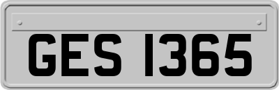 GES1365