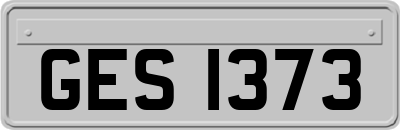 GES1373