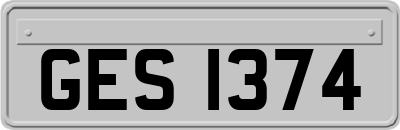 GES1374