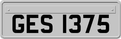 GES1375