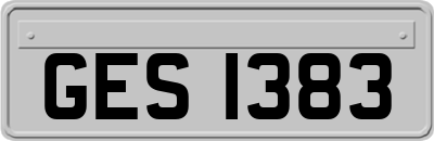 GES1383