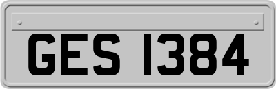GES1384