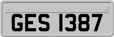 GES1387