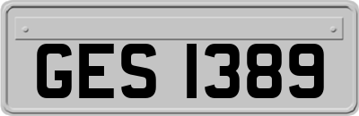 GES1389