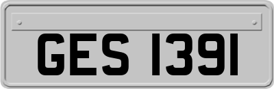 GES1391