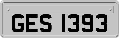 GES1393