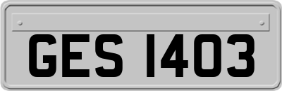 GES1403
