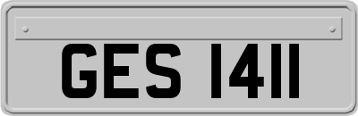 GES1411