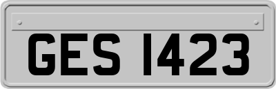 GES1423