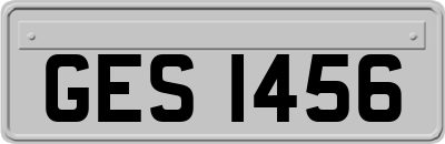 GES1456