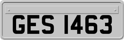 GES1463