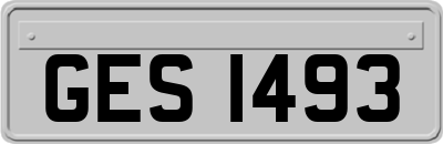 GES1493