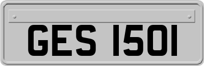 GES1501