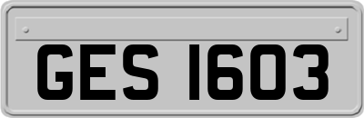GES1603