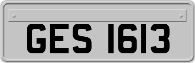 GES1613