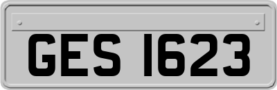 GES1623