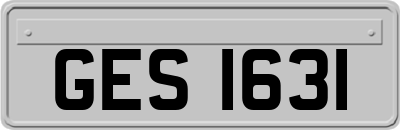 GES1631