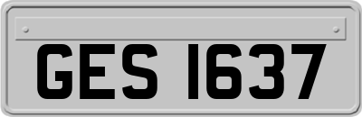 GES1637