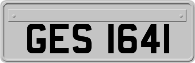 GES1641