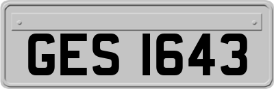 GES1643